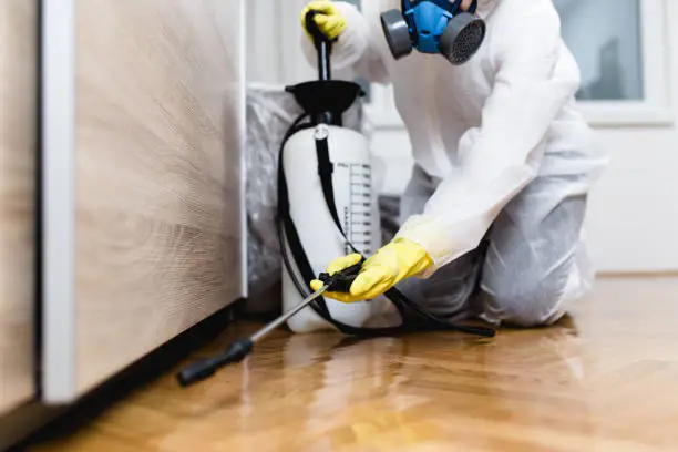 Signs of mice in a Northeast Ohio home